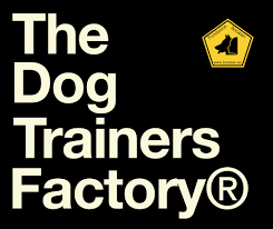 the dog trainers factory Perros de Asistencia